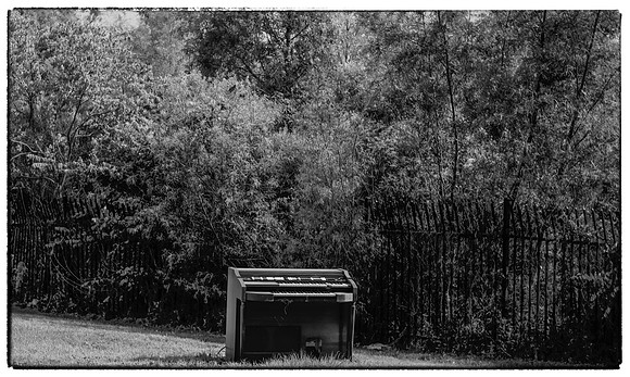 Organ-06.04-I-9767-26-Edit-Edit-Edit-Edit