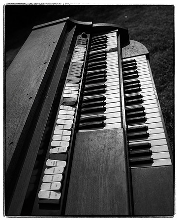 Organ-06.04-I-9768-27-Edit-Edit-Edit