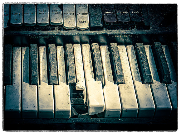 Organ-06.04-I-9771-30-Edit-Edit-Edit-2-Edit