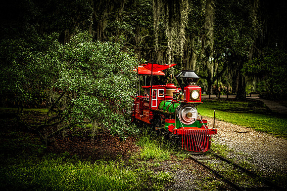 City Park-08.19.18-l-7635-3348-3349-3350-3351