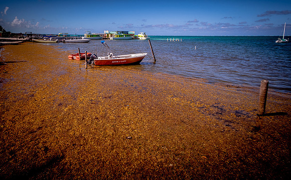 Belize-05.19.18-l-6890