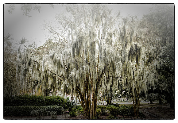 City Park-2-12