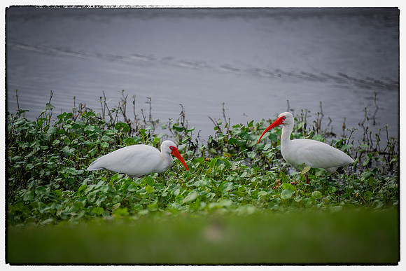 12 XULA-11.07-I-5015-Edit-Edit-Edit