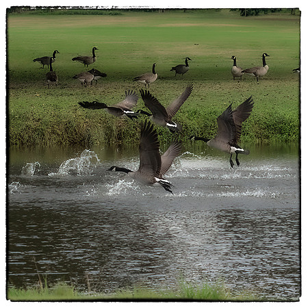 12 XULA-11.07-I-4875-Enhanced-NR-Edit-Edit-Edit