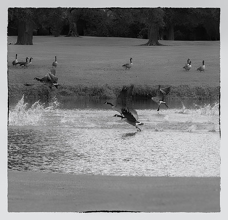 12 XULA-11.07-I-4872-Enhanced-NR-Edit-Edit-Edit-Edit